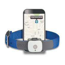 Mini Pet GPS Tracker für Katze und Hund